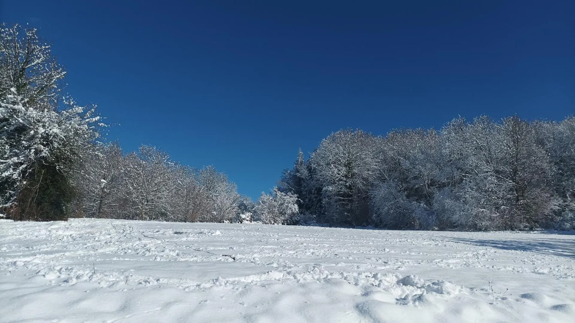 Gite Mas Jourdane En Haut Languedoc Angles  0*, Angles (Midi-Pyrenees) Frankrijk