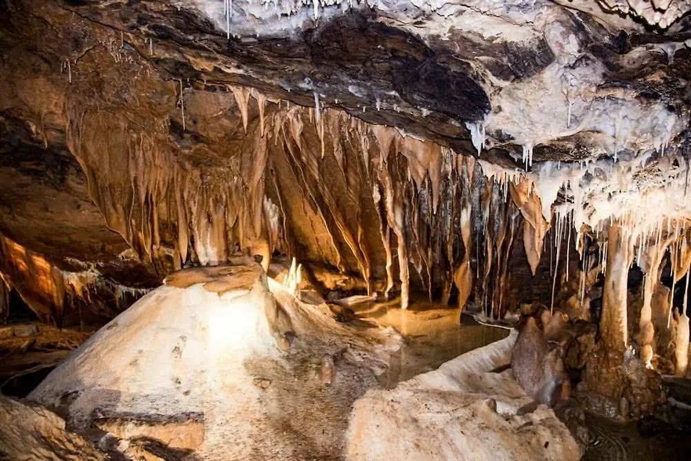 Vakantiehuis Gite Mas Jourdane En Haut Languedoc Angles